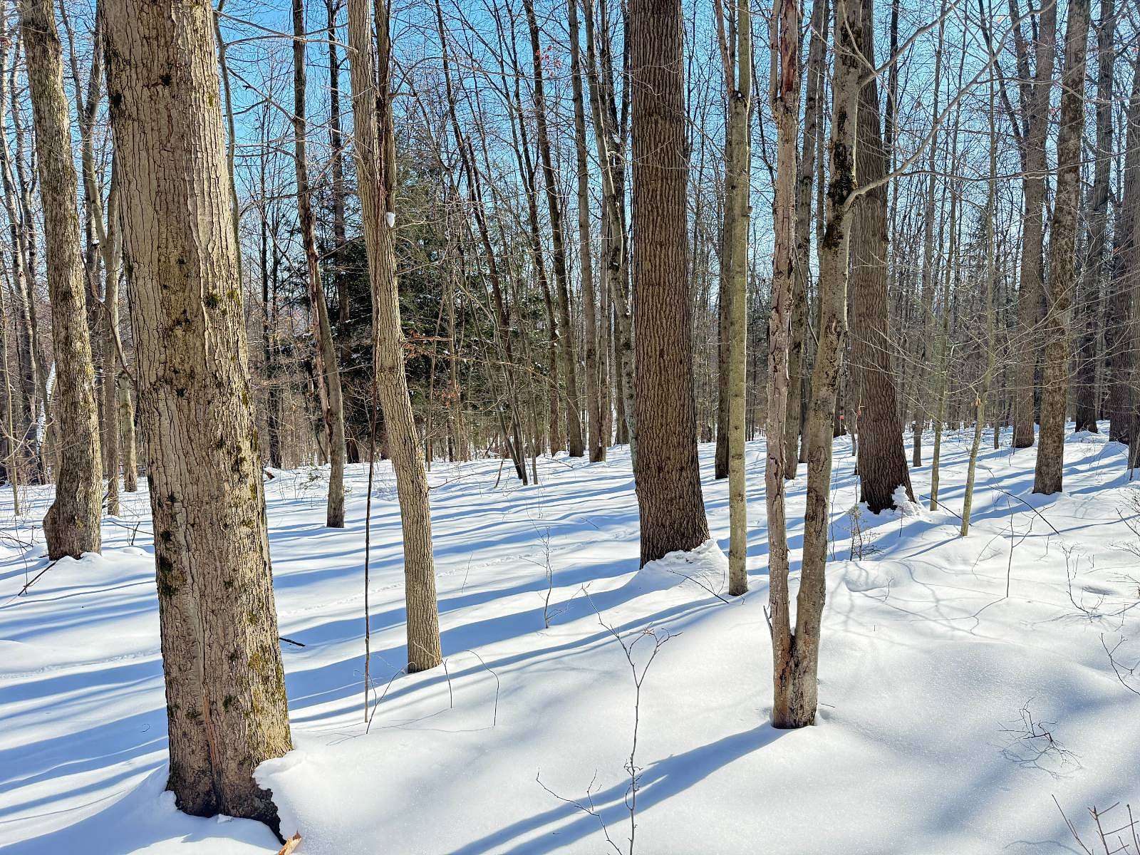12 Acres of Recreational & Residential Land for Sale in Meadville, Pennsylvania