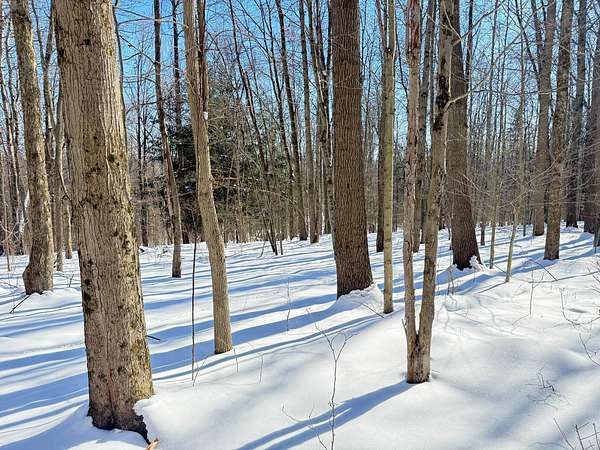 12 Acres of Recreational & Residential Land for Sale in Meadville, Pennsylvania