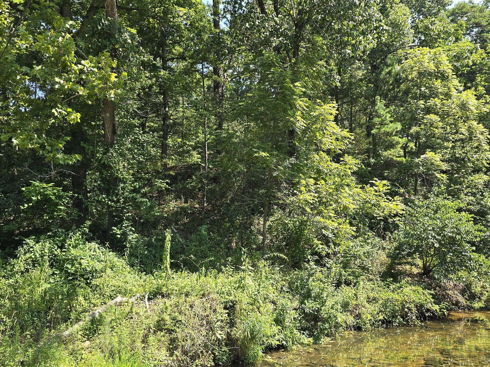 49.9 Acres of Recreational Land for Sale in Houston, Missouri