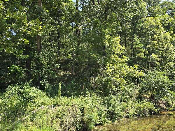 49.9 Acres of Recreational Land for Sale in Houston, Missouri