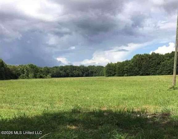 36.2 Acres of Recreational Land for Sale in Morton, Mississippi
