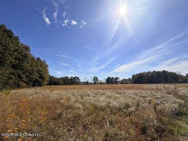 36.2 Acres of Recreational Land for Sale in Morton, Mississippi