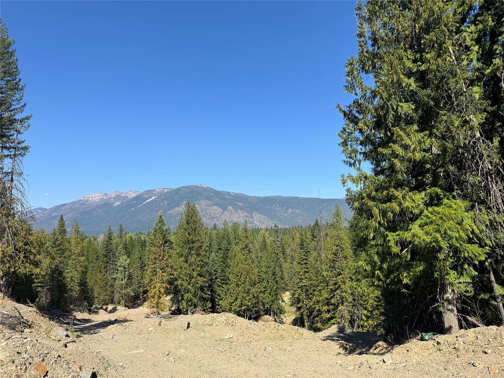 20.3 Acres of Recreational & Residential Land for Sale in Heron, Montana
