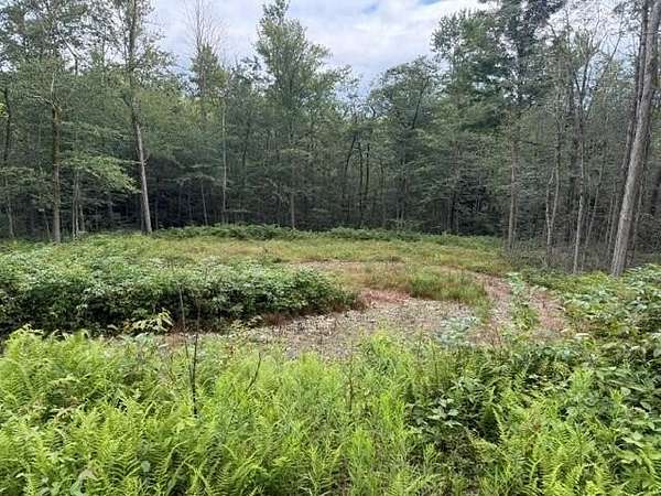 1.3 Acres of Land for Sale in Coudersport, Pennsylvania