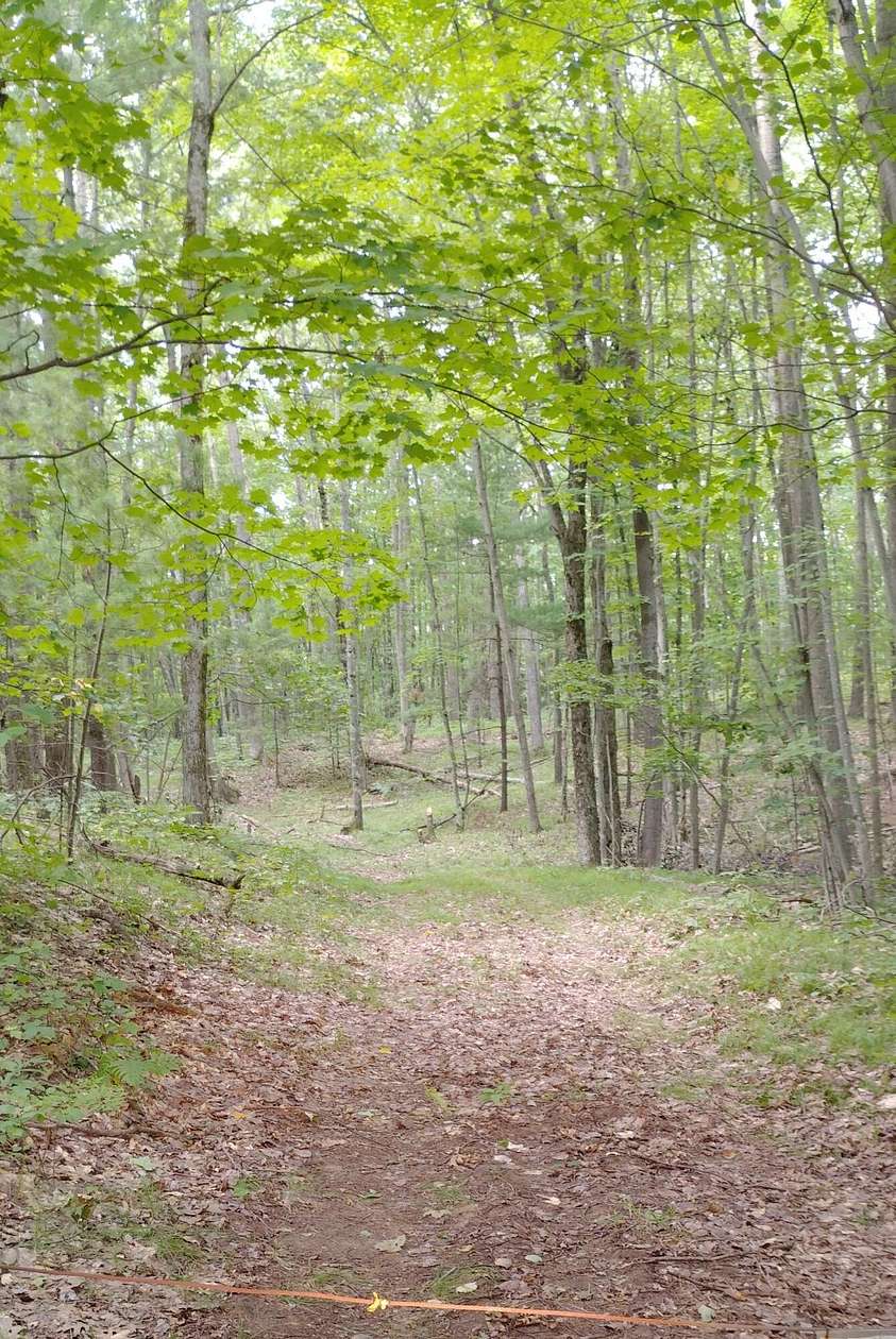 3.35 Acres of Residential Land for Sale in Chase, Michigan