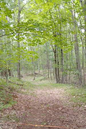 3.35 Acres of Residential Land for Sale in Chase, Michigan