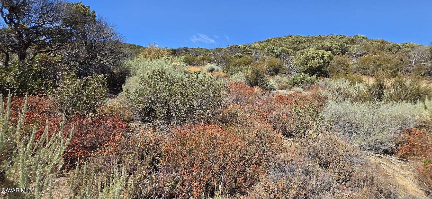 27.6 Acres of Agricultural & Residential Land for Sale in Leona Valley, California