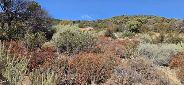 27.6 Acres of Agricultural & Residential Land for Sale in Leona Valley, California