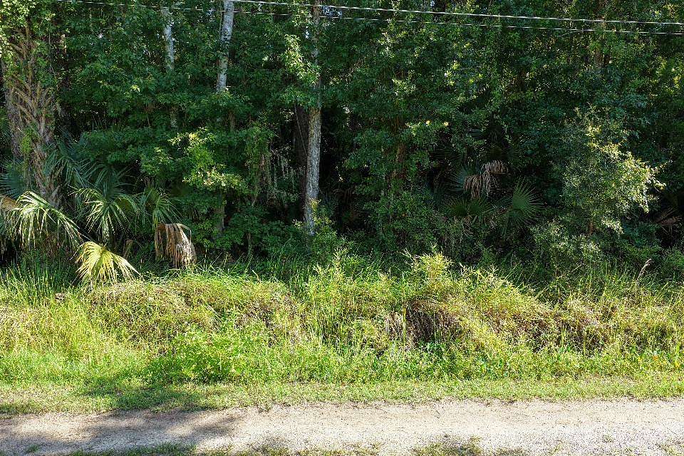 0.17 Acres of Residential Land for Sale in Astor, Florida