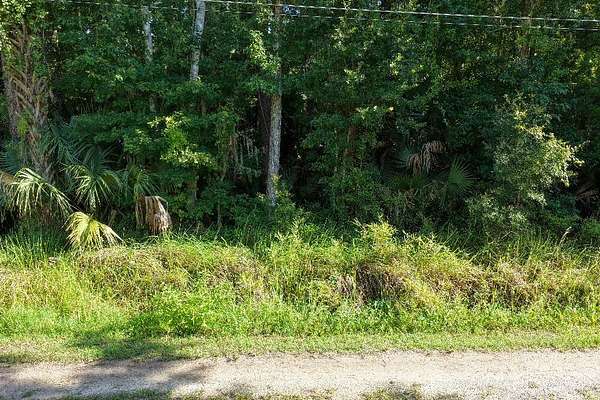 0.17 Acres of Residential Land for Sale in Astor, Florida