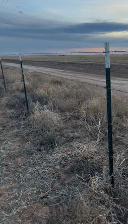 154 Acres of Agricultural & Residential Land for Sale in Muleshoe, Texas