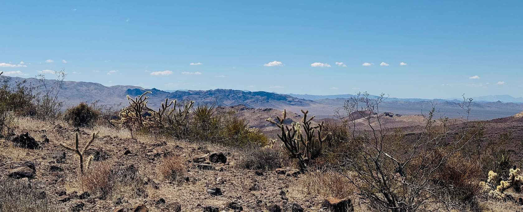 40 Acres of Recreational Land for Sale in Dolan Springs, Arizona