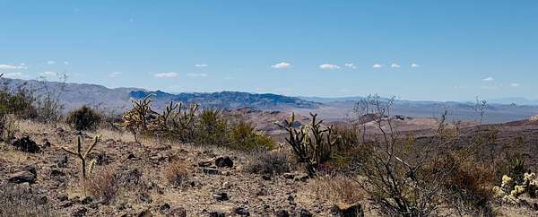 40 Acres of Recreational Land for Sale in Dolan Springs, Arizona