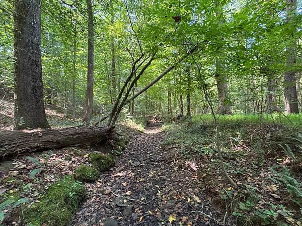 23.2 Acres of Land for Sale in Robbins, North Carolina
