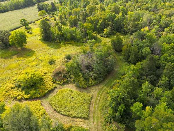 34.8 Acres of Recreational Land for Sale in Ogilvie, Minnesota