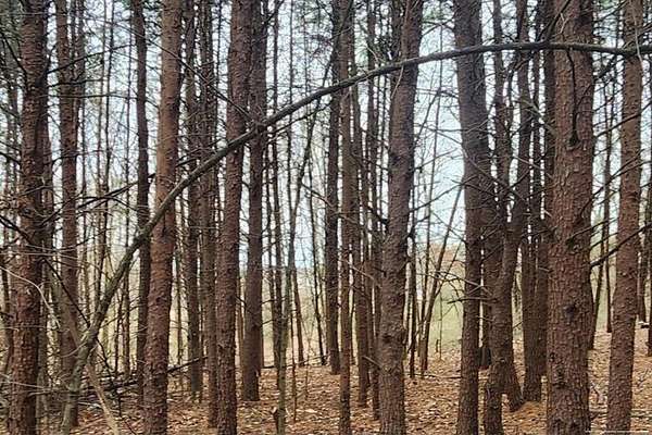 0.8 Acres of Residential Land for Sale in Bassett, Virginia