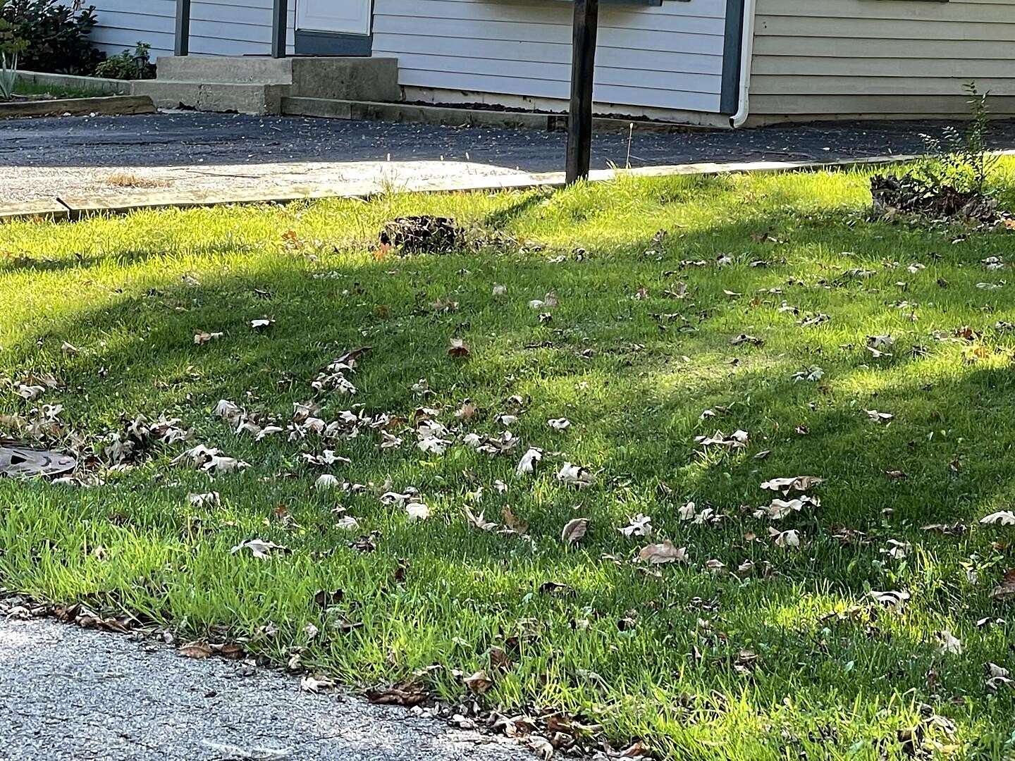 0.2 Acres of Residential Land for Sale in Lake Villa, Illinois