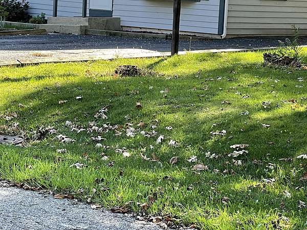 0.2 Acres of Residential Land for Sale in Lake Villa, Illinois