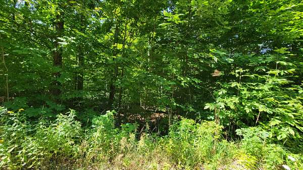 0.35 Acres of Residential Land for Sale in Wolverine, Michigan