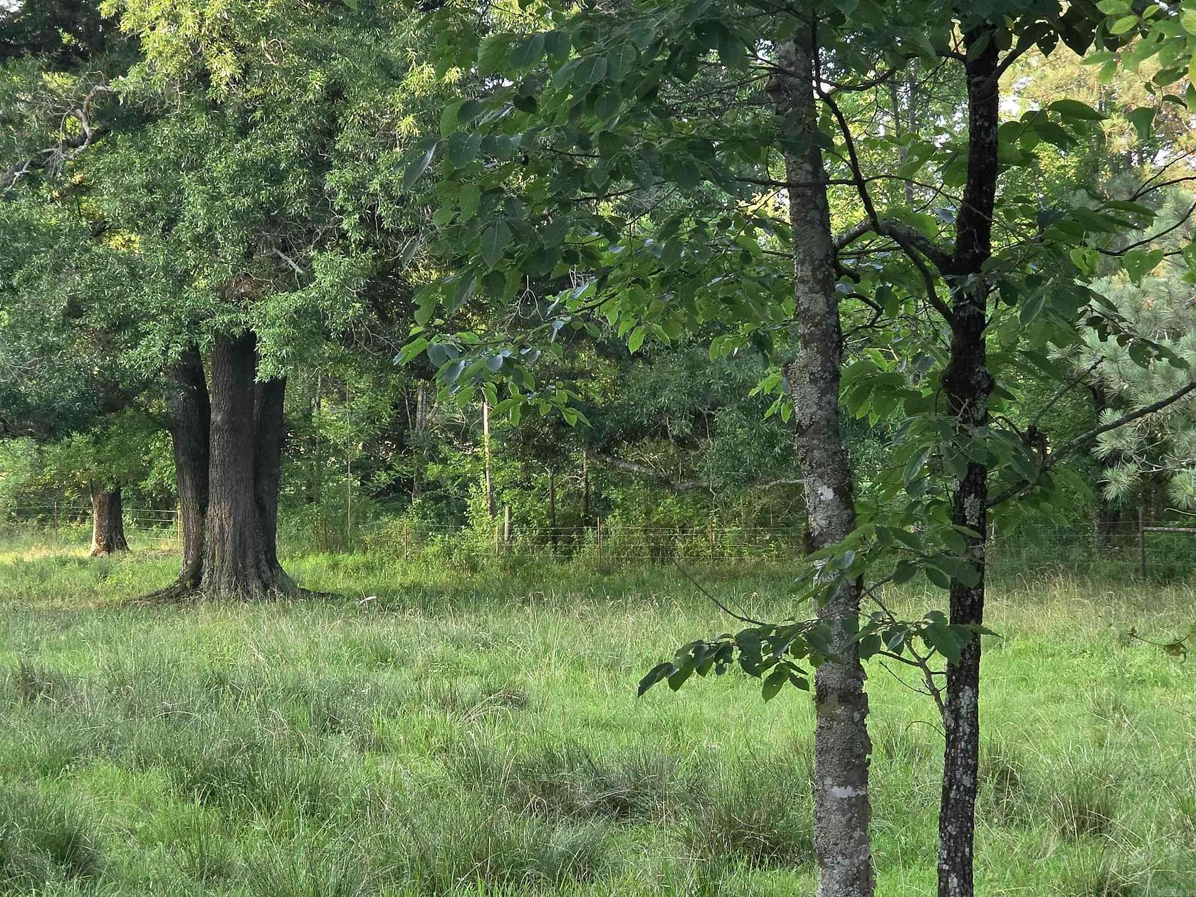 5.1 Acres of Land for Sale in Royal, Arkansas