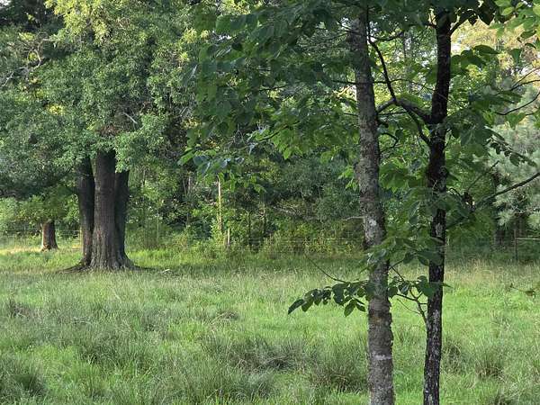 5.1 Acres of Land for Sale in Royal, Arkansas
