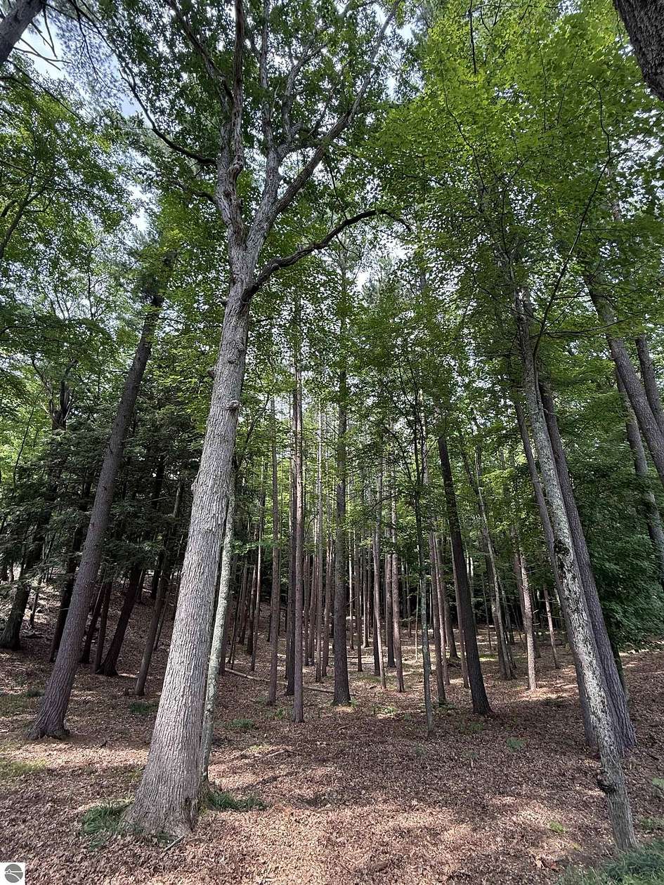 2.63 Acres of Residential Land for Sale in Traverse City, Michigan