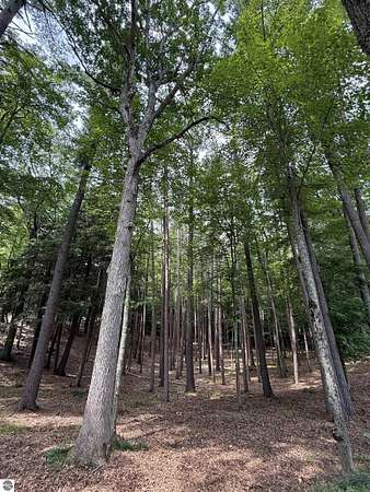2.63 Acres of Residential Land for Sale in Traverse City, Michigan