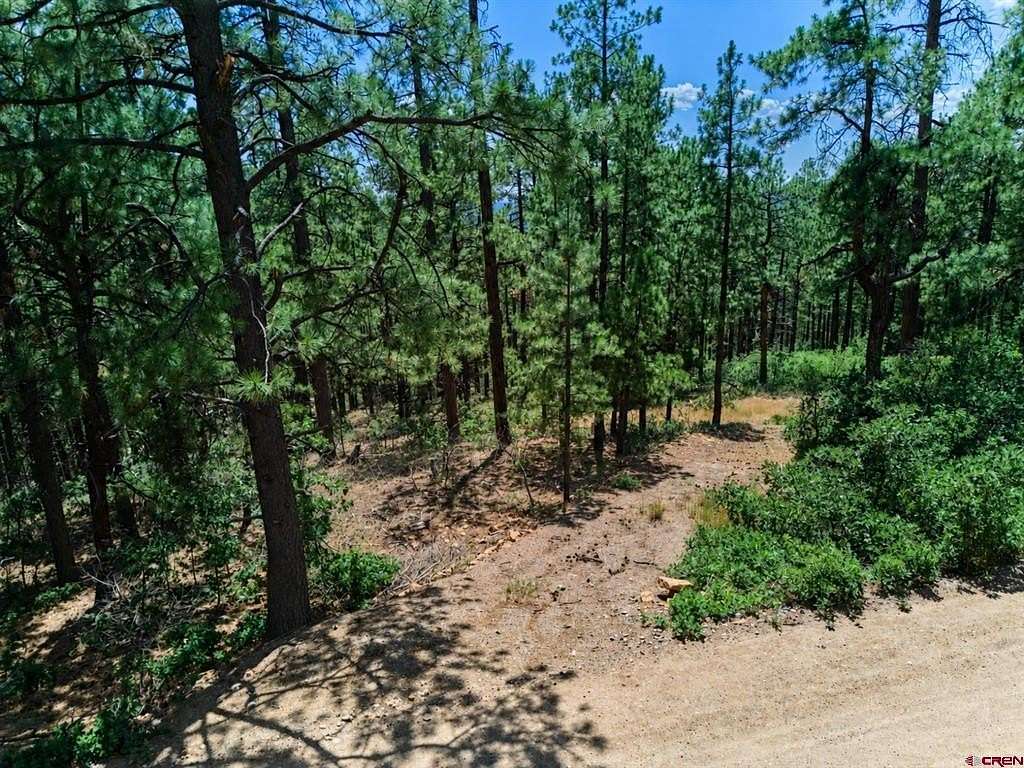 1 Acre of Residential Land for Sale in Bayfield, Colorado