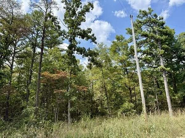 80 Acres of Recreational Land for Sale in Licking, Missouri