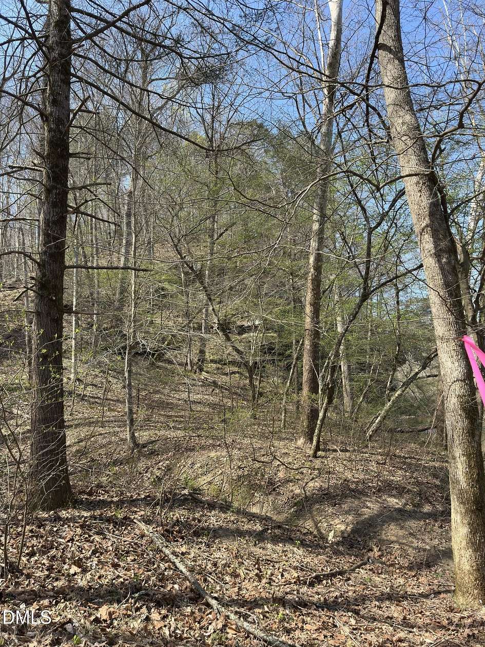 25 Acres of Recreational & Residential Land for Sale in Danbury, North Carolina