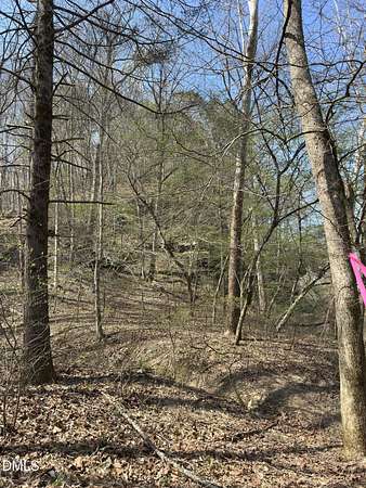 25 Acres of Recreational & Residential Land for Sale in Danbury, North Carolina