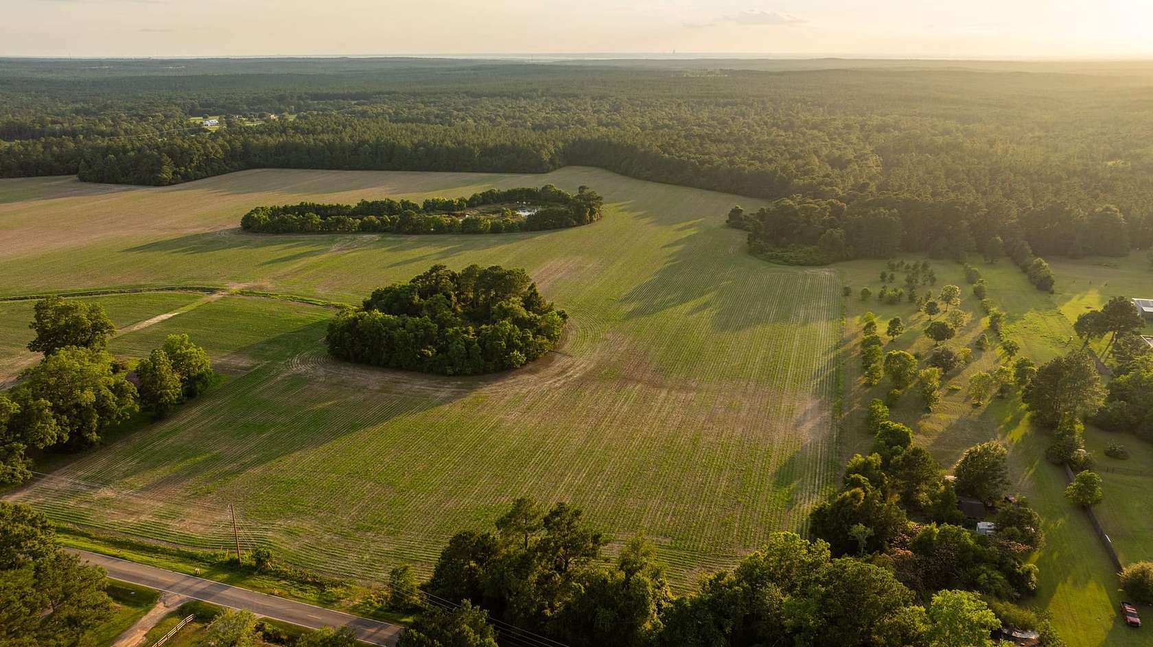 3 Acres of Land for Sale in Stapleton, Alabama
