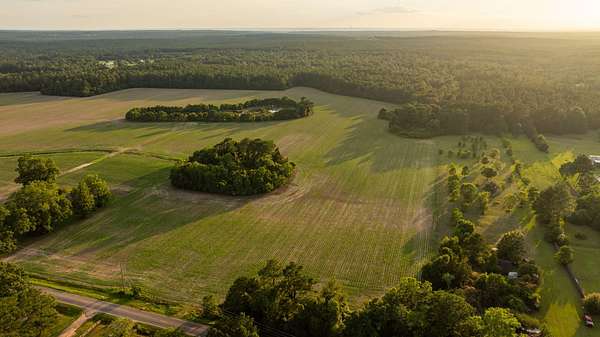 3 Acres of Land for Sale in Stapleton, Alabama