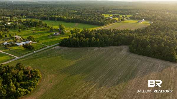 14.4 Acres of Land for Sale in Stapleton, Alabama