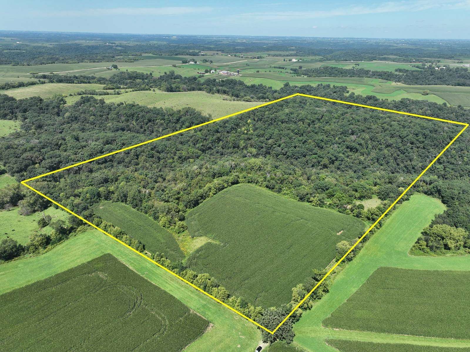 80 Acres of Land for Auction in Lansing, Iowa