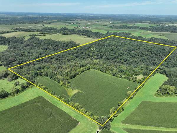 80 Acres of Land for Auction in Lansing, Iowa