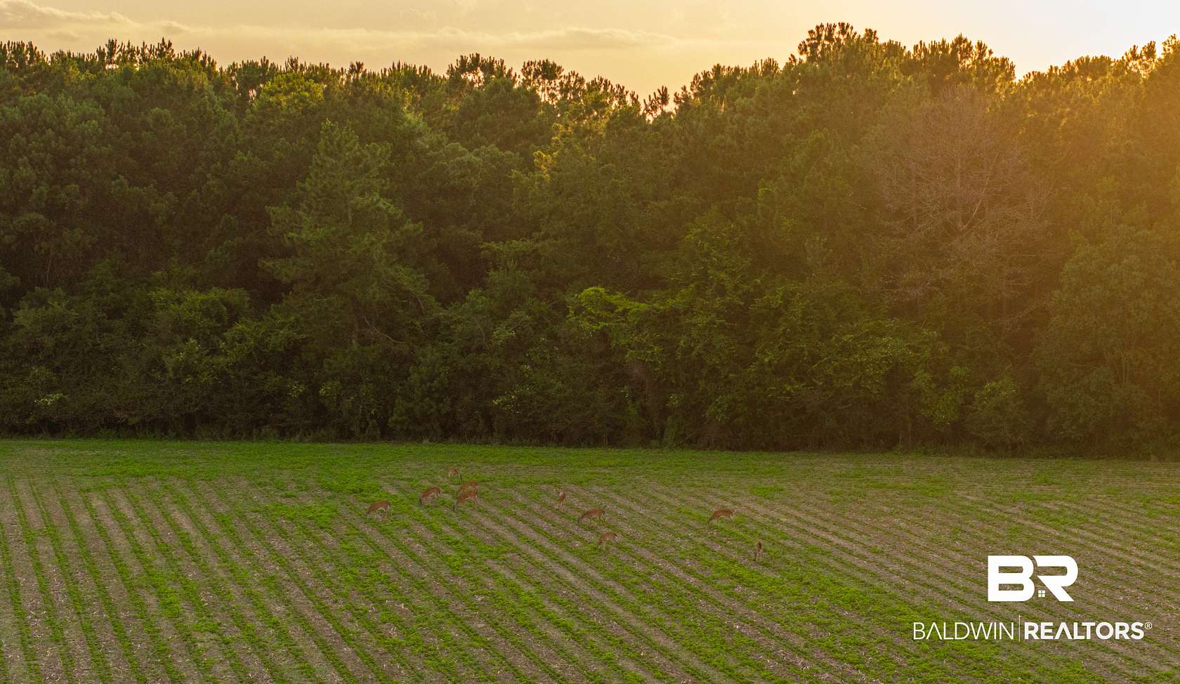3.62 Acres of Residential Land for Sale in Stapleton, Alabama