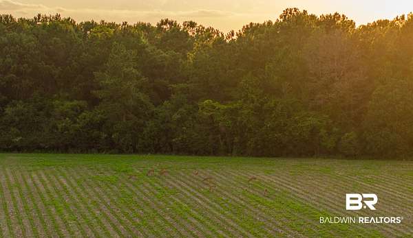 3.62 Acres of Residential Land for Sale in Stapleton, Alabama