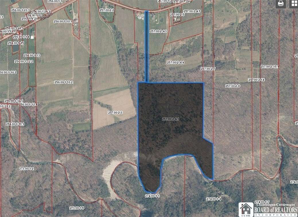 60 Acres of Land with Home for Sale in Ripley, New York