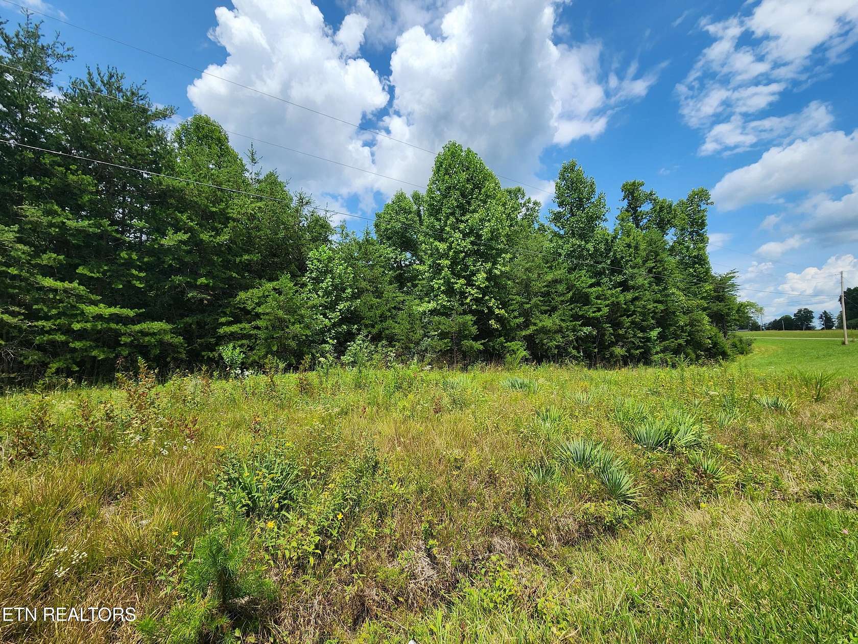 1.77 Acres of Residential Land for Sale in Deer Lodge, Tennessee
