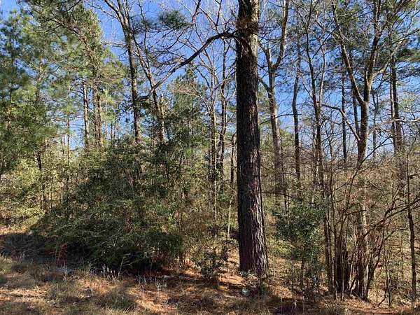 1.59 Acres of Land for Sale in Brookeland, Texas