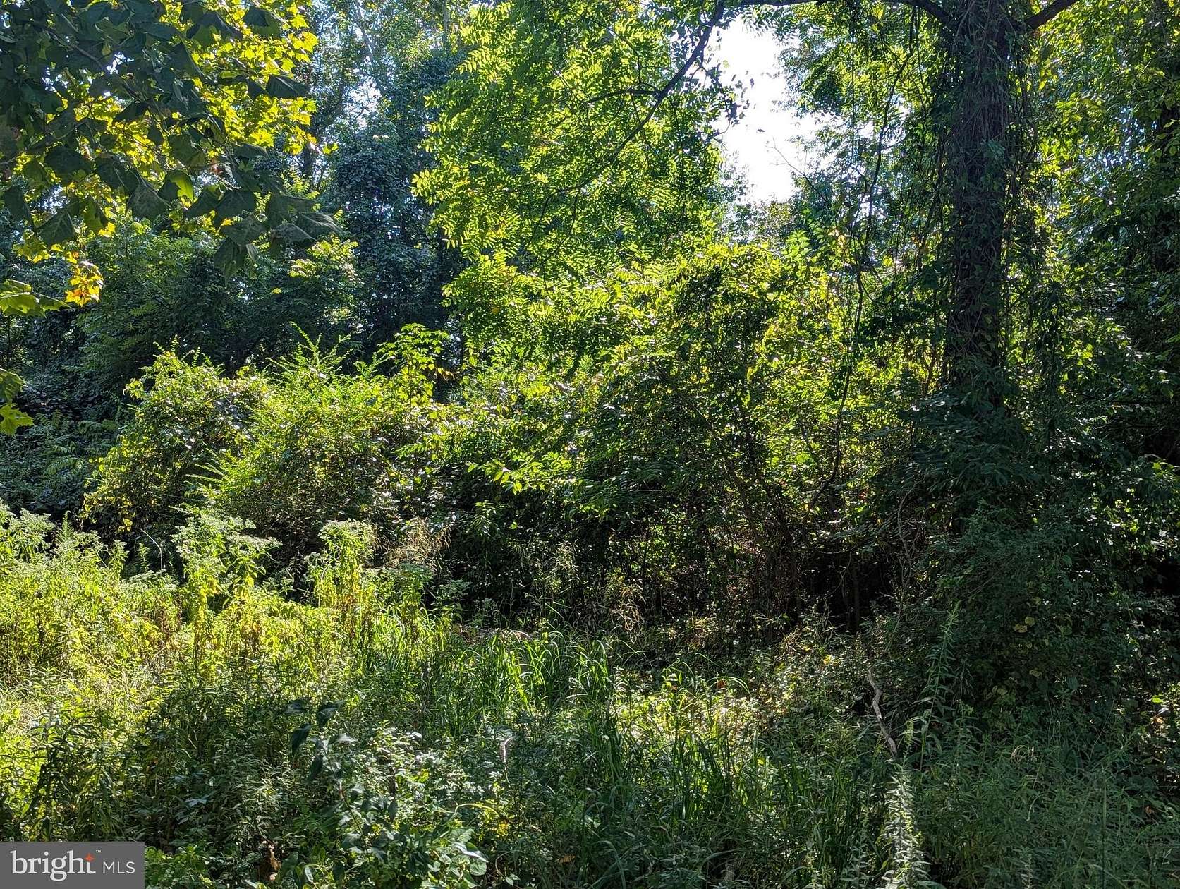 0.23 Acres of Land for Sale in Bushwood, Maryland