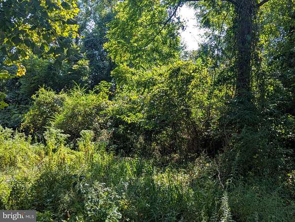 0.23 Acres of Land for Sale in Bushwood, Maryland