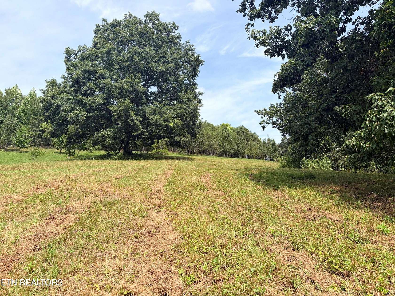 0.85 Acres of Residential Land for Sale in Knoxville, Tennessee