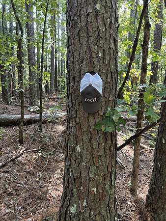 10 Acres of Land for Sale in Oxford, Mississippi