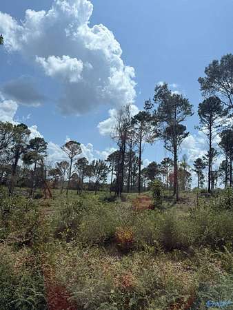 4.5 Acres of Residential Land for Sale in Centre, Alabama