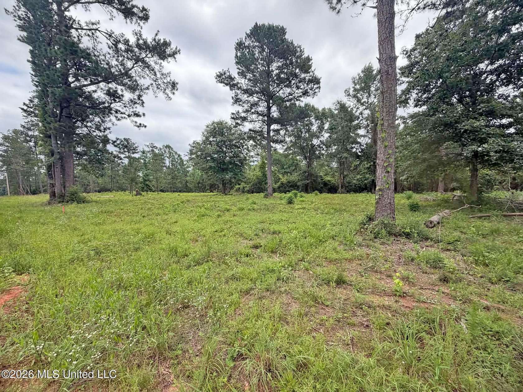 21.5 Acres of Land for Sale in Lucedale, Mississippi