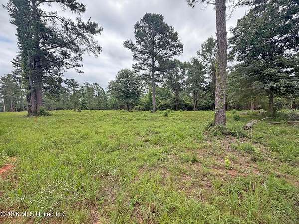 21.5 Acres of Land for Sale in Lucedale, Mississippi
