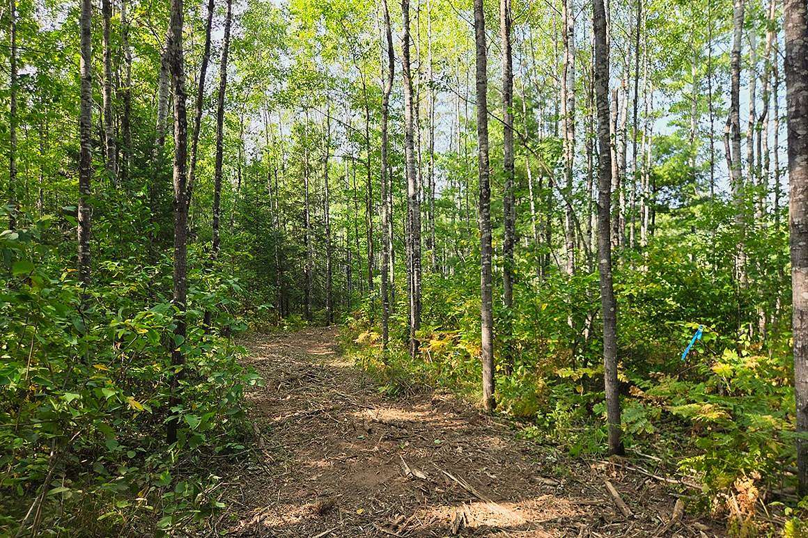 10 Acres of Recreational & Residential Land for Sale in Tomahawk, Wisconsin