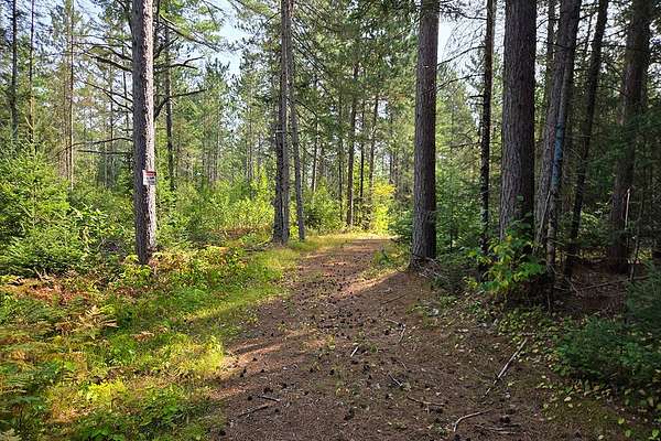 10 Acres of Recreational & Residential Land for Sale in Tomahawk, Wisconsin